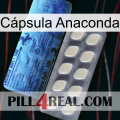 Cápsula Anaconda 34